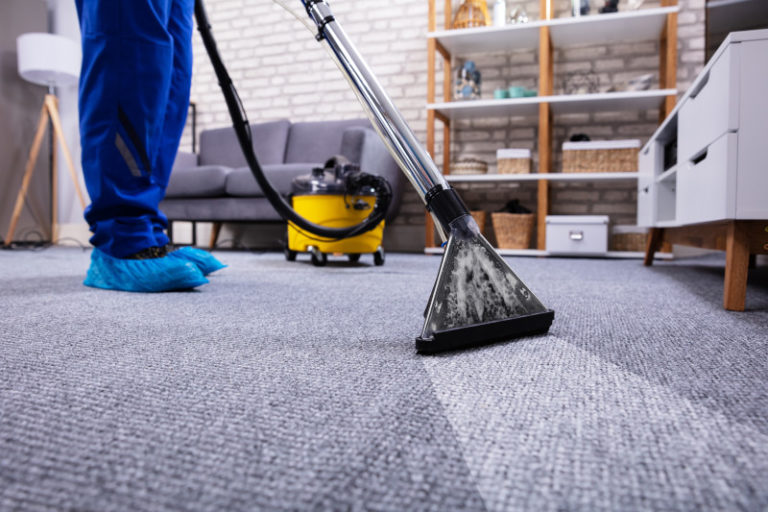 Upholstery Cleaning