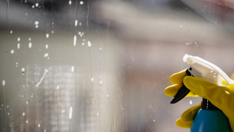 window cleaning
